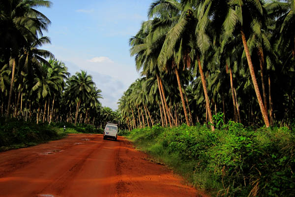 The road from Tabou to Para, Côte d'Ivoire